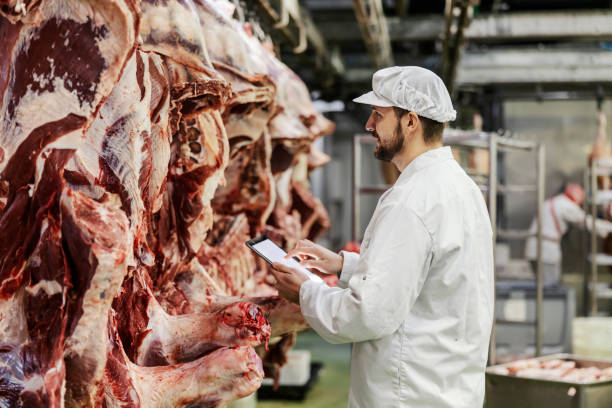 ein schlachthofaufseher bewertet die qualität von frischfleisch. - slaughterhouse stock-fotos und bilder