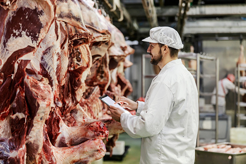 A meat factory supervisor is assessing quality of meat while using tablet.