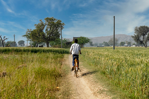 On a sunny day , young boy cycling around the fields of Village Kesroli in Alwar City , Rajasthan , India