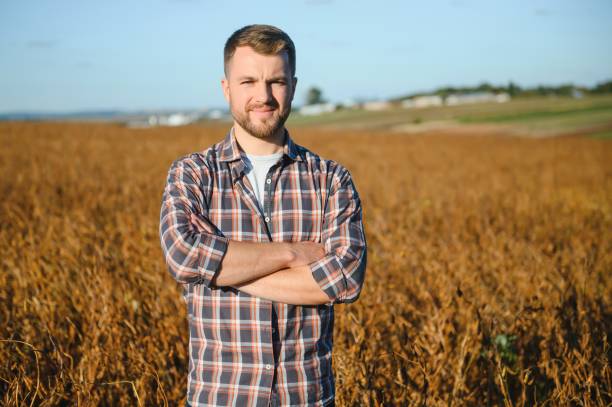 istock farmer standing in soybean field examining crop at sunset. 1452635851