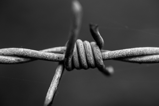A macro of barbed wire