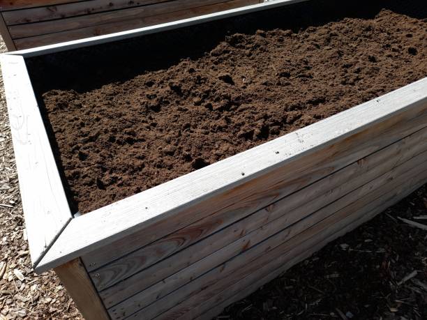 Raised bed replenished with fresh garden soil Raised bed replenished with fresh garden soil - Hochbeet aus Holz mit frischer Garten Erde aufgefüllt erde stock pictures, royalty-free photos & images