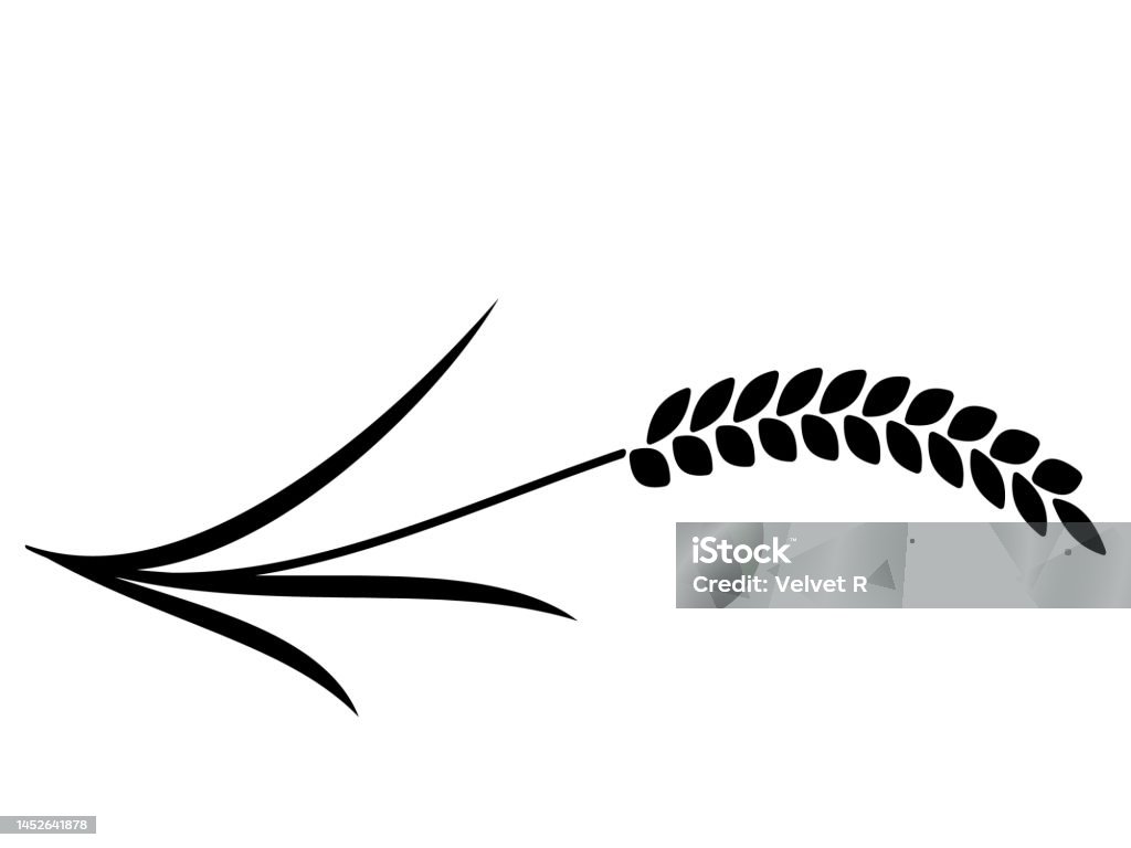 One Rice Line Rice Line Stock Illustration - Download Image Now - Agricultural Field ...