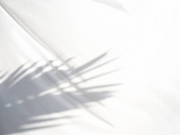 istock Blurred artistic abstract background of white fabric waves and shadows from morning sunlight. 1452648879