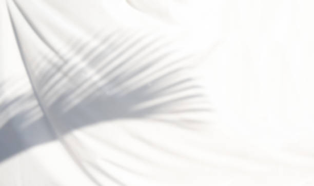 istock Blurred artistic abstract background of white fabric waves and shadows from morning sunlight. 1452648883