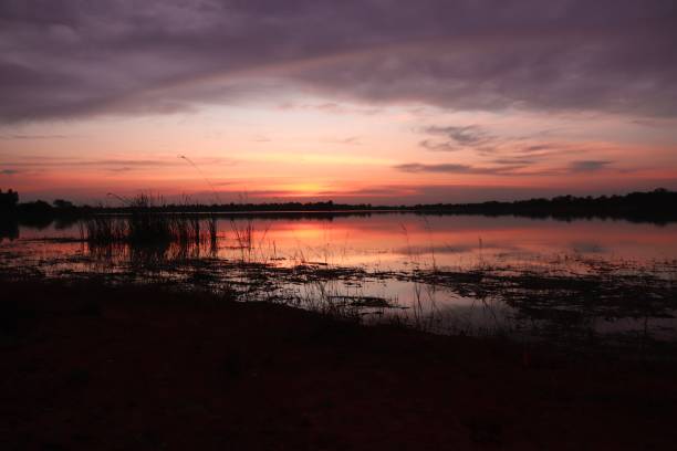 istock Nature view at sunset, landscape at sunset 1452651433