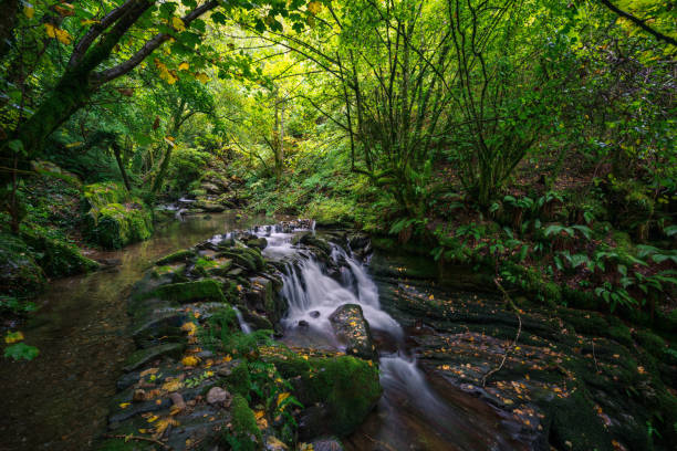 istock Idyllic setting with shady pools and waterfalls in early autumn 1452655285