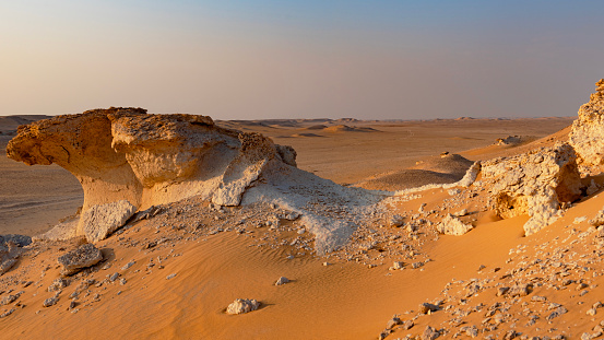 Saudi Araabia, a desert landscape at sunset featuring waves along the sand dunes and some bushes.