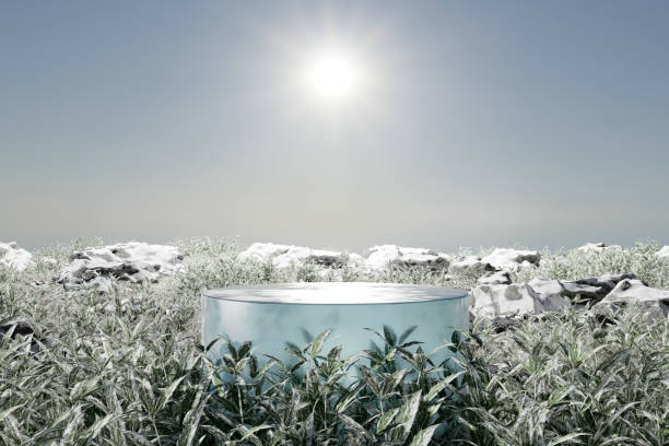 piattaforma di rendering 3d e sfondo del podio di ghiaccio sul terreno di neve ghiacciata e sul campo erboso con la luce del sole in inverno per l'esposizione dello stand del prodotto che pubblicizza prodotti di bellezza cosmetici, cura della pelle o ecc. - winter snow non urban scene house foto e immagini stock