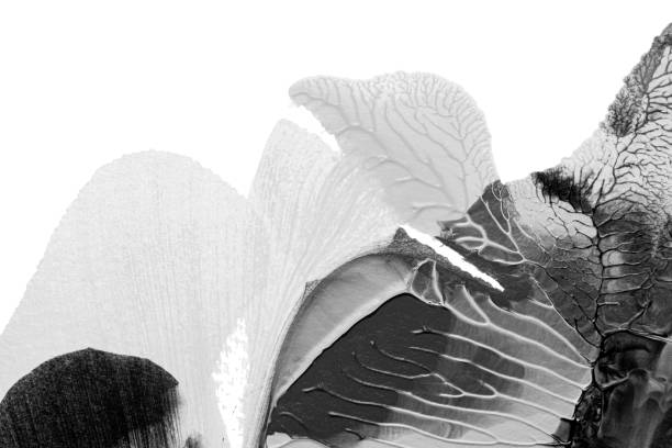 istock black white abstract acrylic painting color texture on white paper background by using rorschach inkblot method 1452655976