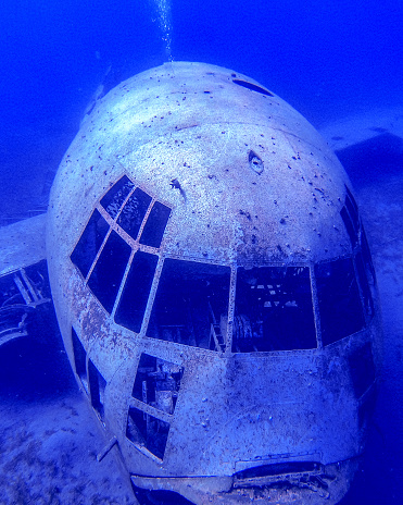 Diving in Jordan along the coastline south of Aqaba on a sunken C130 airplane wreck.