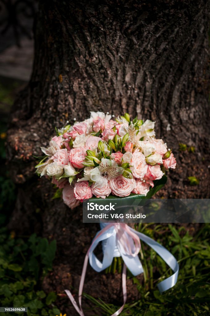 Ramo De Boda De La Novia Con Flores Árbol Al Fondo Ramo De Novia Con Flores Blancas Y Rosadas Foto de stock y más banco de imágenes de Acontecimiento - iStock Ramo De Boda De La Novia Con Flores Árbol Al Fondo Ramo De Novia Con Flores Blancas Y Rosadas Foto de stock y más banco de imágenes de Acontecimiento - iStock