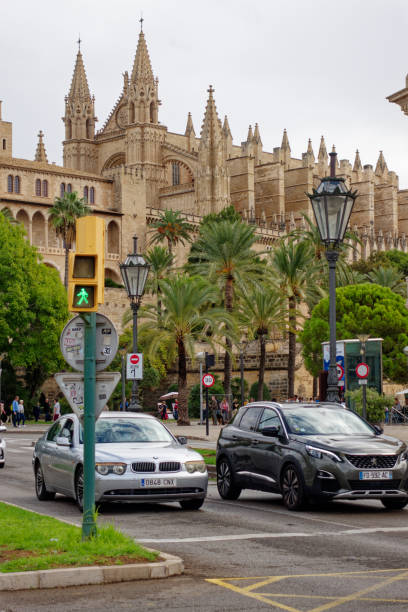 cityscape of city of palma de mallorca with cathedral in the background. - medieval autumn cathedral vertical imagens e fotografias de stock