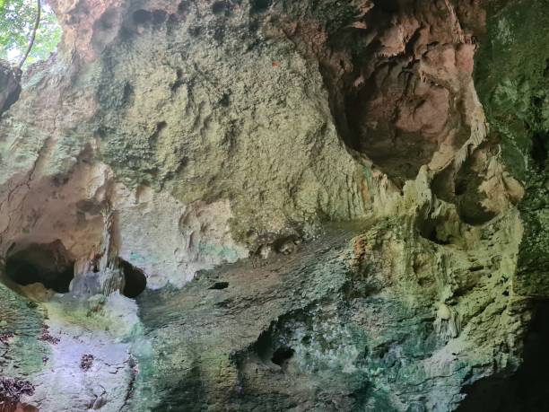 istock National Park Los Haitises-  in a cave 10 1452661399