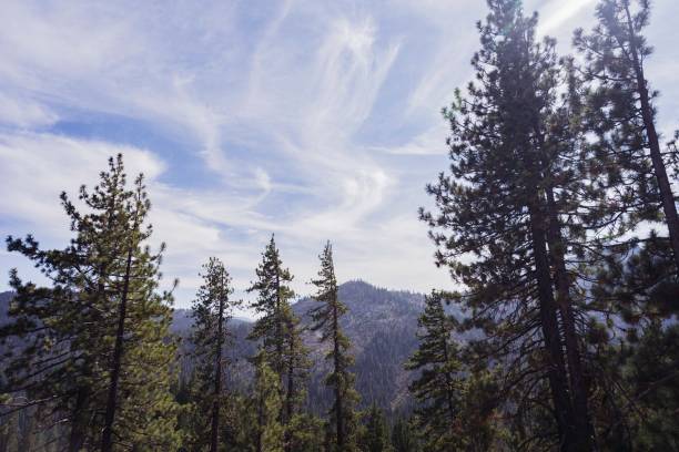istock Landscape of hills covered in trees under a blue cloudy sky and sunlight 1452662649
