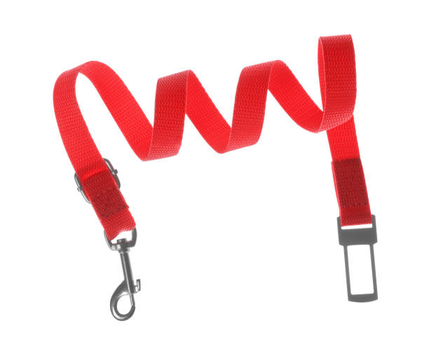 istock Red dog leash isolated on white. Pet accessory 1452666790