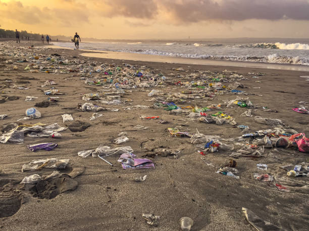 istock Unrecognizable Surfer Walking on Dirty Bali Beach 1452667991
