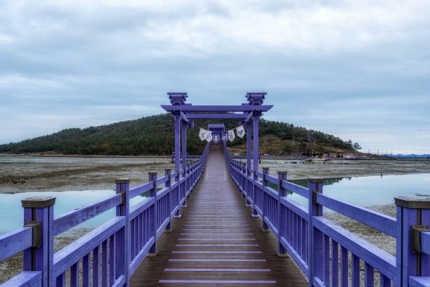 Sinan purple islands in winter