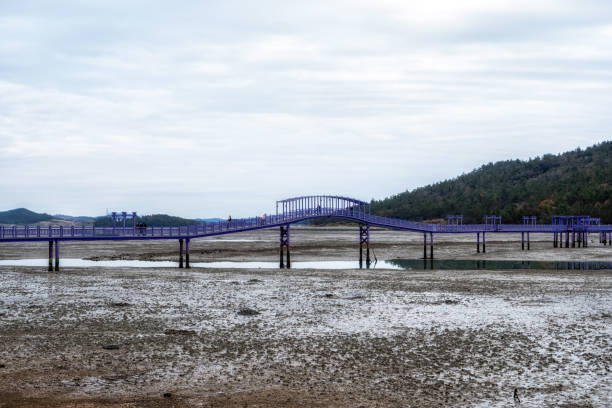 istock Sinan purple islands in winter 1452668533