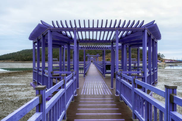 istock Sinan purple islands in winter 1452668618