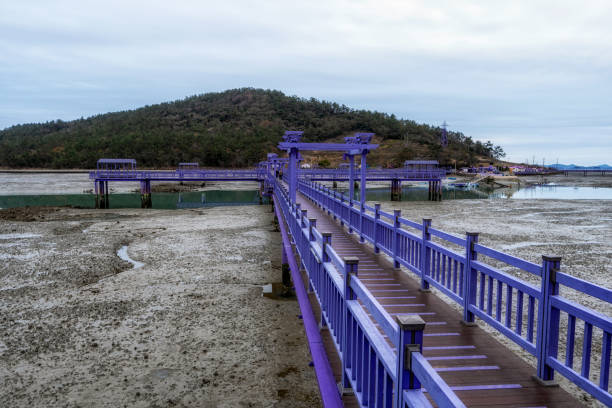 istock Sinan purple islands in winter 1452668619