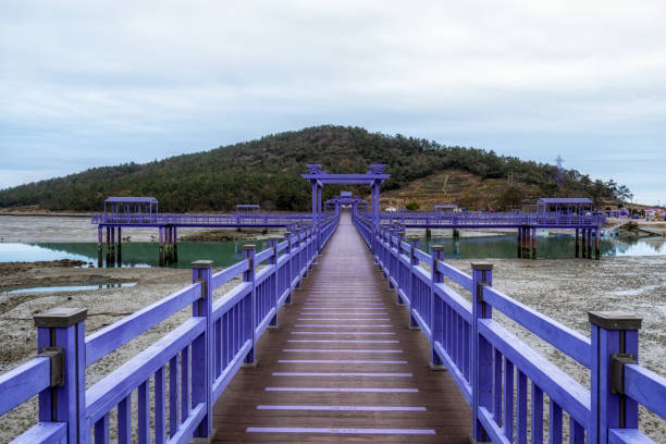 istock Sinan purple islands in winter 1452669163