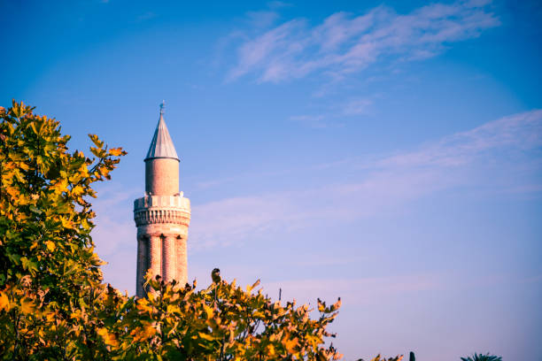 Historical Yivli Minaret in Antalya Historical Yivli Minaret and lush fig leaves in Antalya minaret stock pictures, royalty-free photos & images