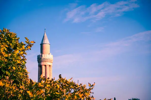 Historical Yivli Minaret and lush fig leaves in Antalya