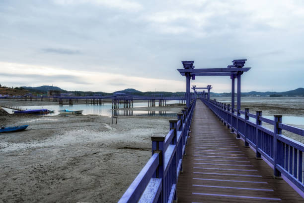 istock Sinan purple islands in winter 1452670868