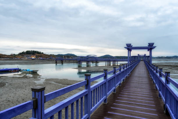 istock Sinan purple islands in winter 1452670896