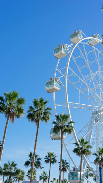 istock Giant white Ferris wheel with palm trees around it 1452671121