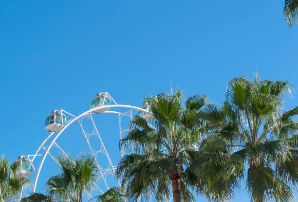 istock Giant white Ferris wheel with palm trees around it 1452671123