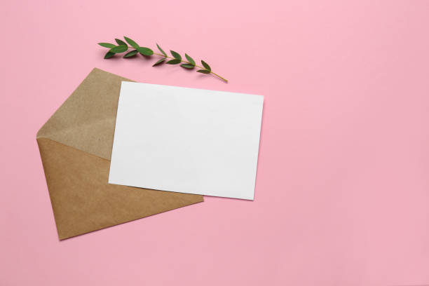 istock Brown envelope with blank letter and plant on pink background, flat lay. Space for text 1452677914