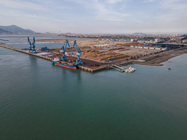 istock Aerial view of cargo ship unloading at the timber port 1452677966