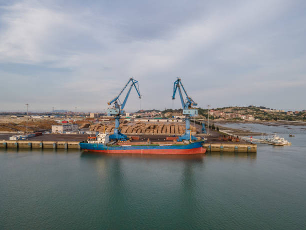 istock Aerial view of cargo ship unloading at the timber port 1452677969