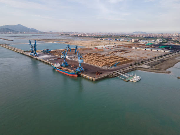 istock Aerial view of cargo ship unloading at the timber port 1452677975