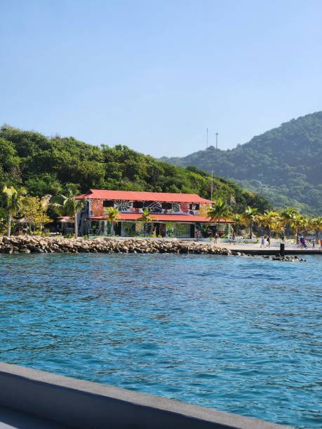 istock Haiti Adventure in the  Palm Trees 1452678475