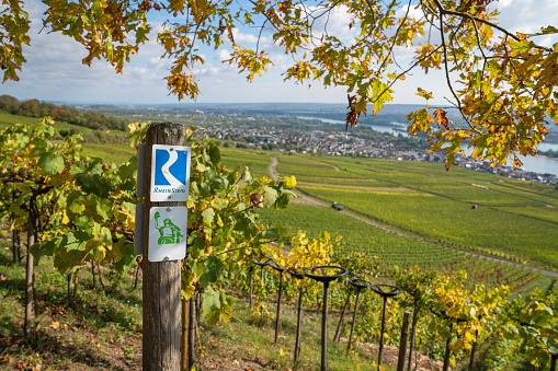 Rüdesheim, Germany - October 8, 2021: Long distance Rheinsteig hiking trail with focus on the typical waymarks on October 8, 2021 in Germany