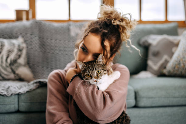 mujer joven se une a su gato en el apartamento - mascota fotografías e imágenes de stock