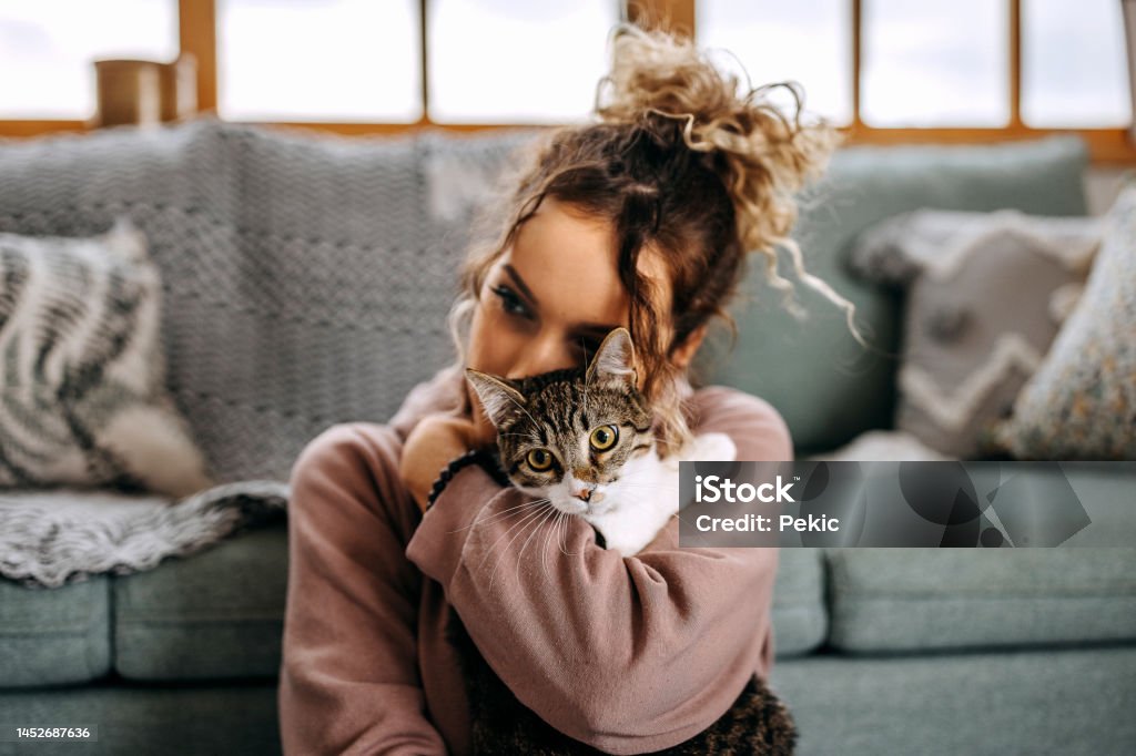 Young woman bonding with her cat in apartment Domestic Cat Stock Photo