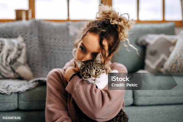 Young Woman Bonding With Her Cat In Apartment Stock Photo - Download Image Now - Domestic Cat, Pets, Petting