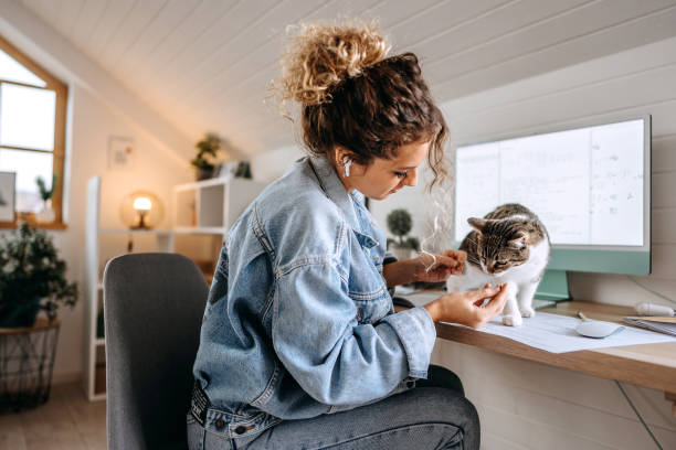 istock Young beautiful female student bonding with her cat while taking a break from studying 1452688386