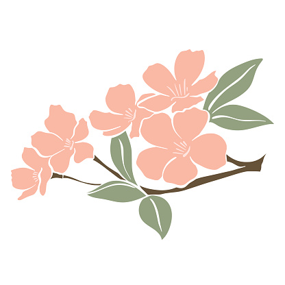 Flower branch of tree. Spring flowering fruit tree. Branch of cherry, apple, almond, sakura. Twig with leaves and flowers stencil isolated vector illustration