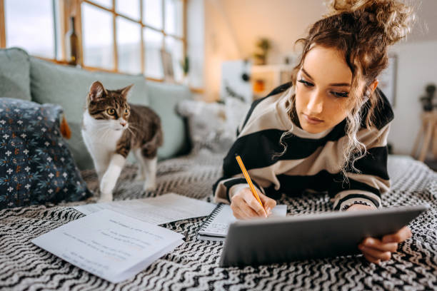 Cute female student studying at her bedroom, her cat is standing next to her