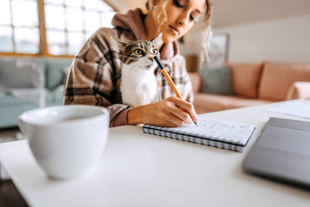 istock Young beautiful female student studying while holding her cat in lap 1452690151
