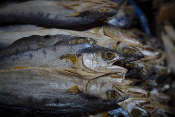 Salted fish is a food ingredient made from cured fish meat by adding a lot of salt.
