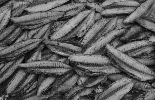 Keumamah fish is one of the traditional culinary of the Acehnese people
