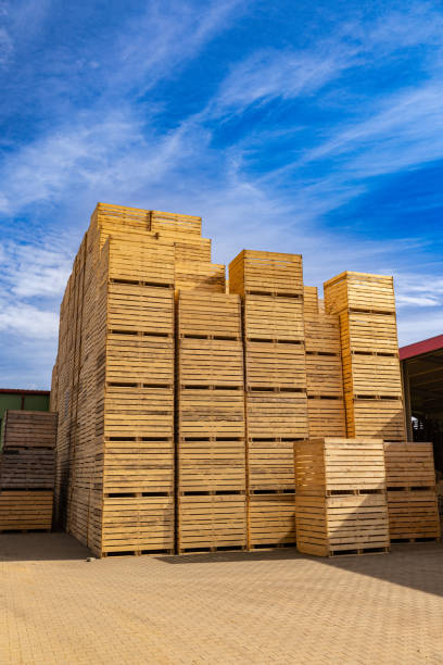 Wooden crates stack isolated on white background 3d rendering