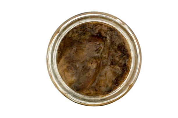 istock bay bolete mushroom in the jar 1452694738