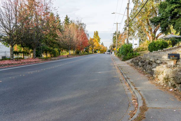 istock Seatac Street Autumn Trees 9 1452697349